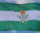 Бетис Флаг